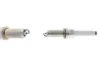 NGK 95875 Spark Plug